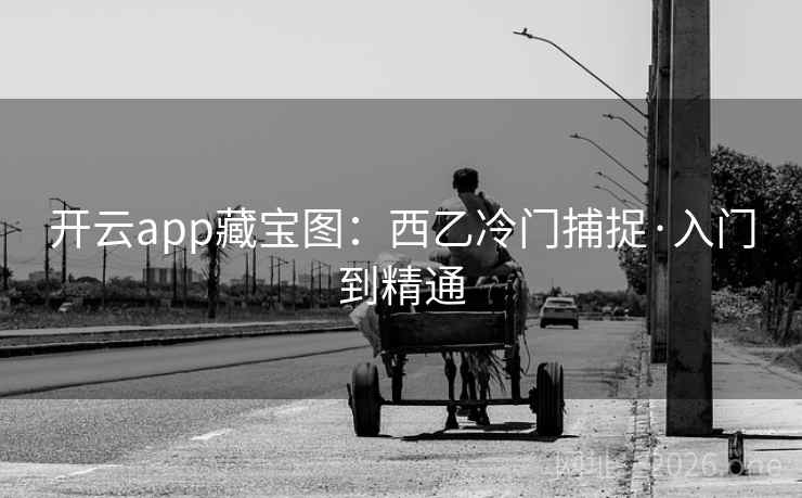 开云app藏宝图：西乙冷门捕捉·入门到精通  第2张