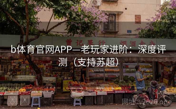 b体育官网APP—老玩家进阶：深度评测（支持苏超）  第2张