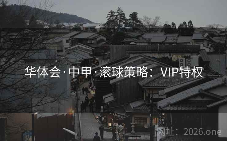 华体会·中甲·滚球策略:VIP特权 第2张 华体会·中甲·滚球策略:VIP特权 第2张