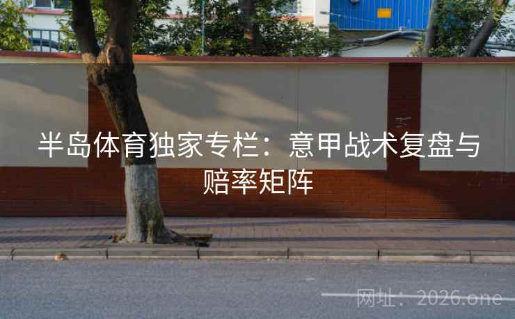 半岛体育独家专栏：意甲战术复盘与赔率矩阵  第2张