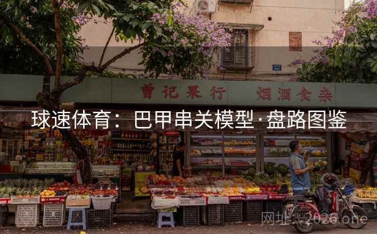 球速体育:巴甲串关模型·盘路图鉴 第2张 球速体育:巴甲串关模型·盘路图鉴 第2张